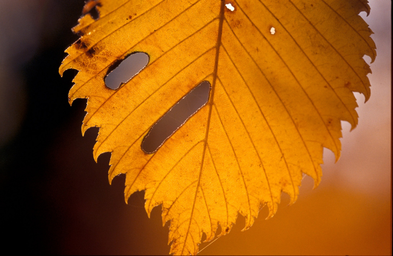 500pxdownload.com-4847581