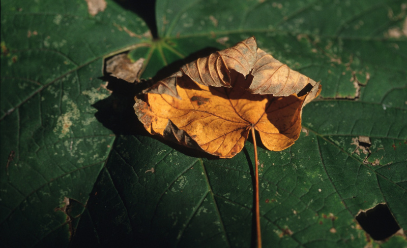 500pxdownload.com-4891211