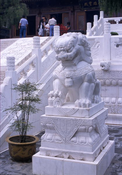 500pxdownload.com-4384536